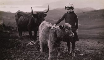 Bir-buzağıyı-seven-kız-İskoçya-1918
