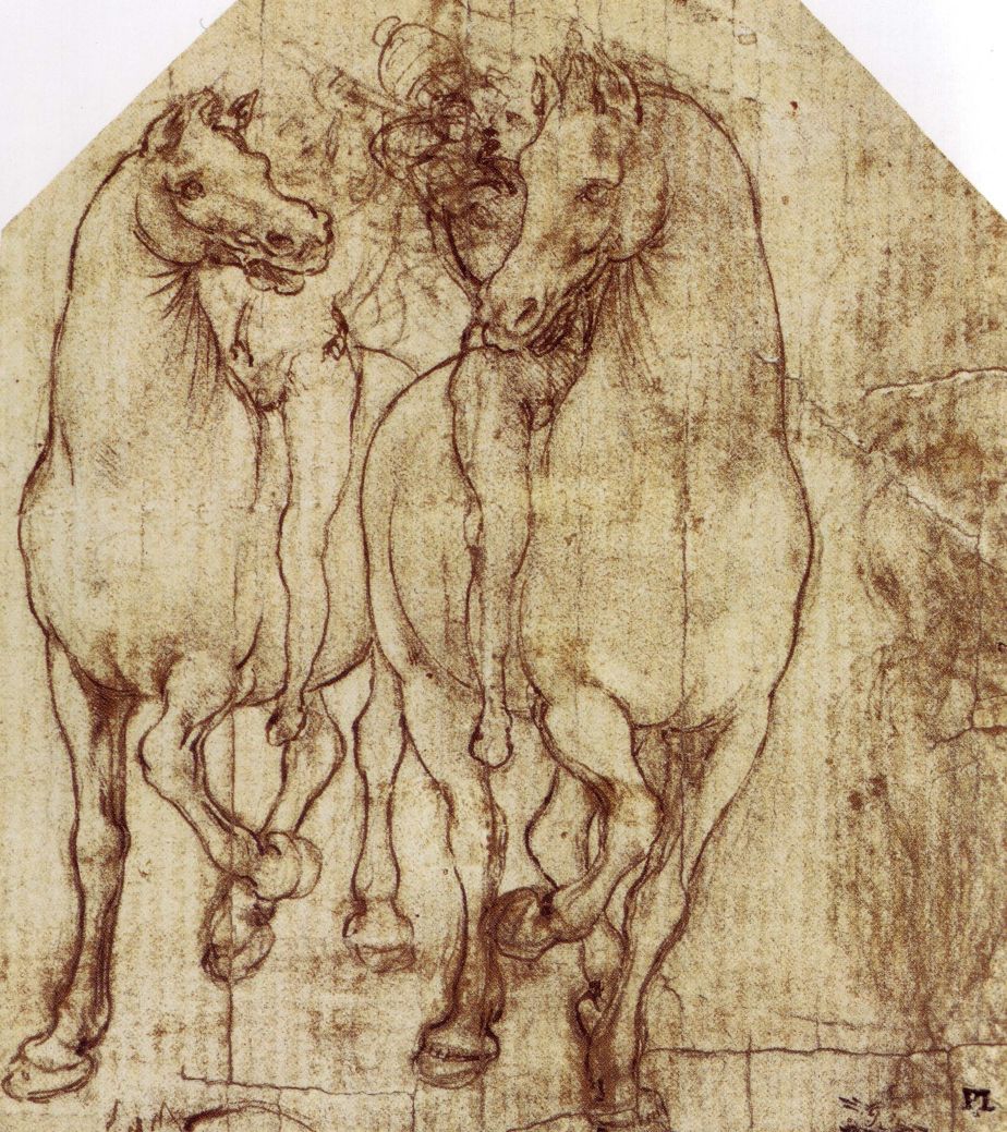 At ve Sürücü Çalışması, 1480
