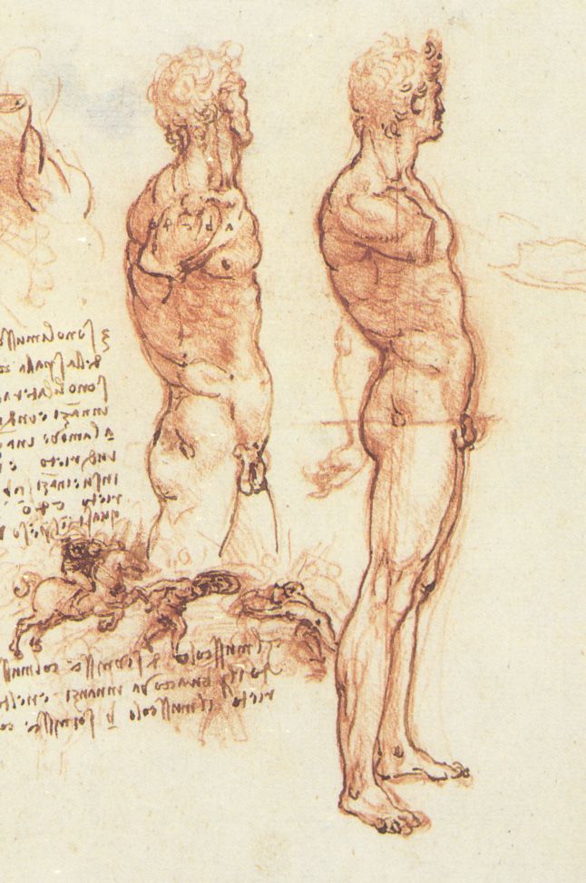 Bir Erkek Çıplağının Anatomisi, 1504-6