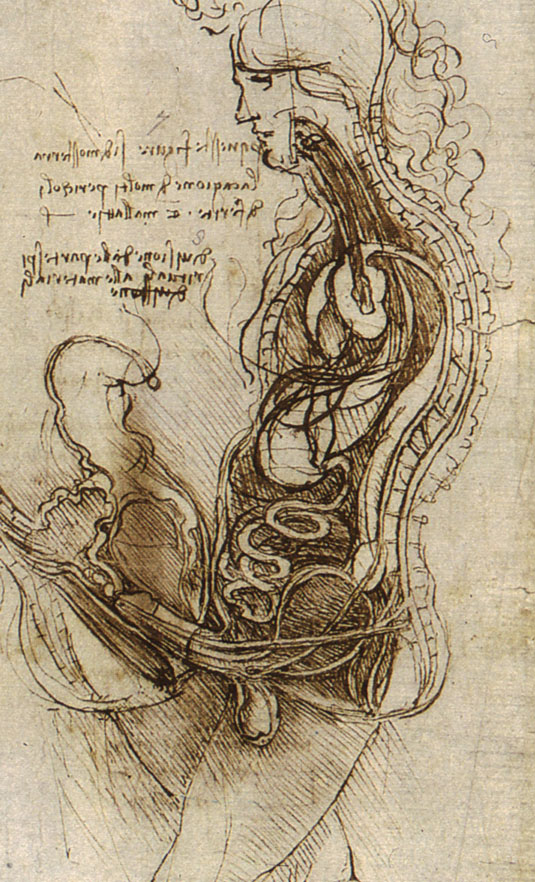 Hemfikir bir Adamın ve Kadının Kabul, 1492