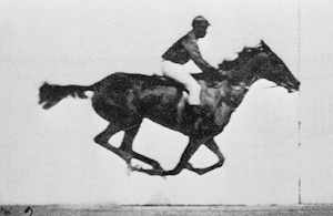 First moving image. (Eadweard Muybridge, 1878)