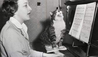 Sahibine eşlikedenbir kedi, 1959. Kedi Fotoğrafları
