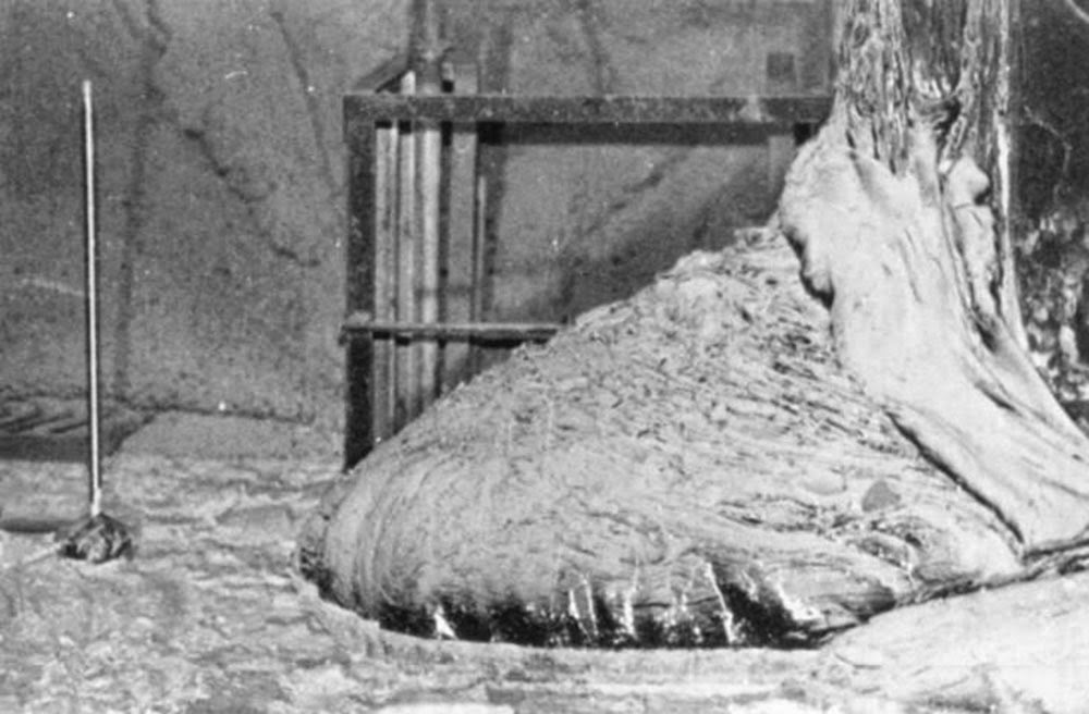 Bu fotoğraf felaketten 10 yıl sonra çekildi, bu fotoğraf çekildiğinde Çernobil Fil Ayağı ilk günün sadece onda biri kadar radyasyon yayıyordu. Yine de, bu radyasyona 500 saniye maruz kalmanız ölümcül olabilir.