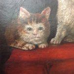 Kedi Yüzleri