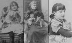kedi-fotoğrafları-kapak