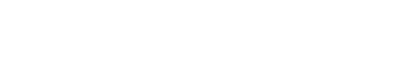 Tarih Kurdu